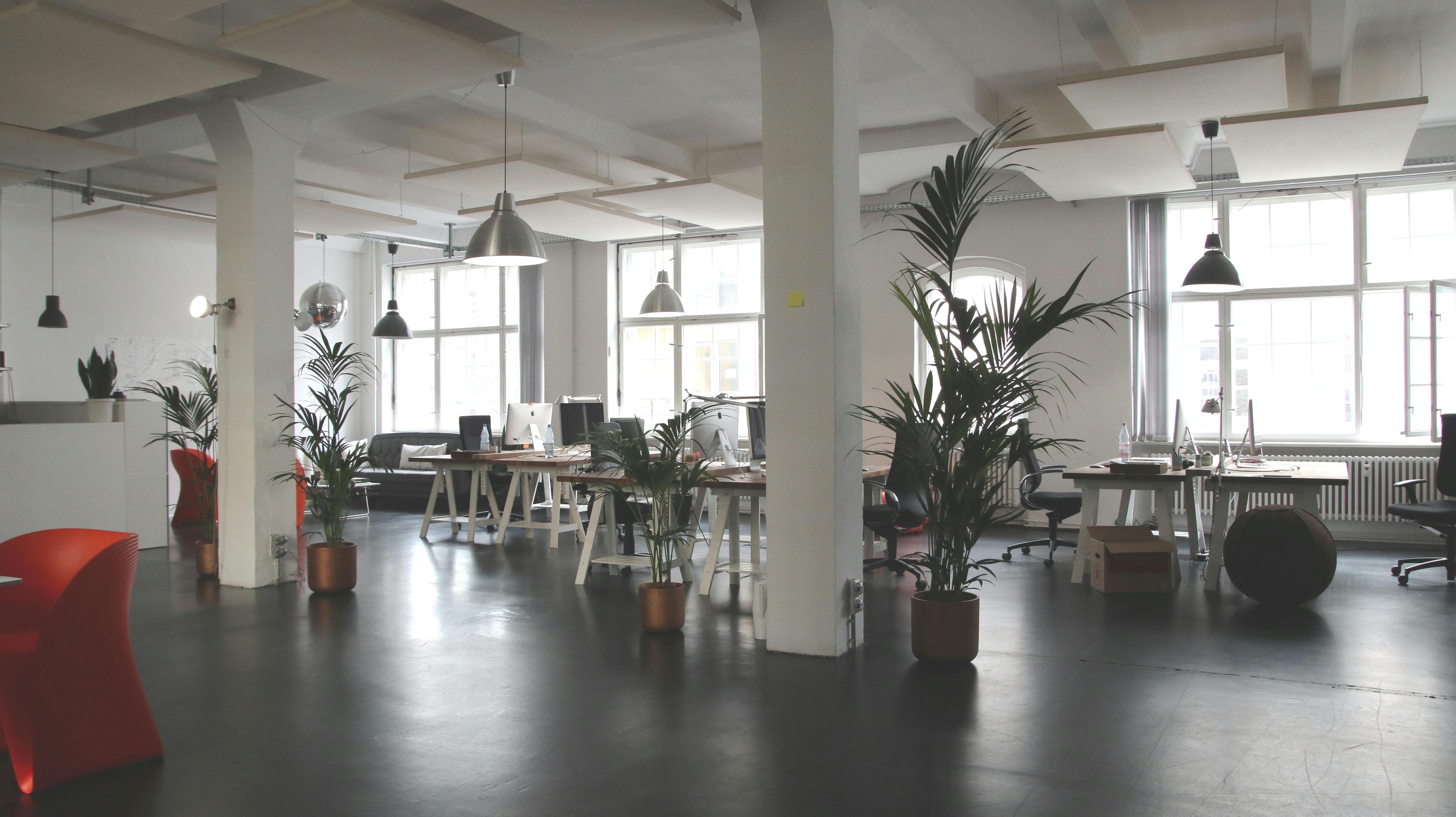 Modern, plant-filled workspace